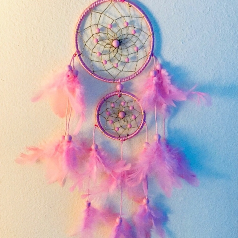 Pink Feather Dreamcatcher Wall Decor